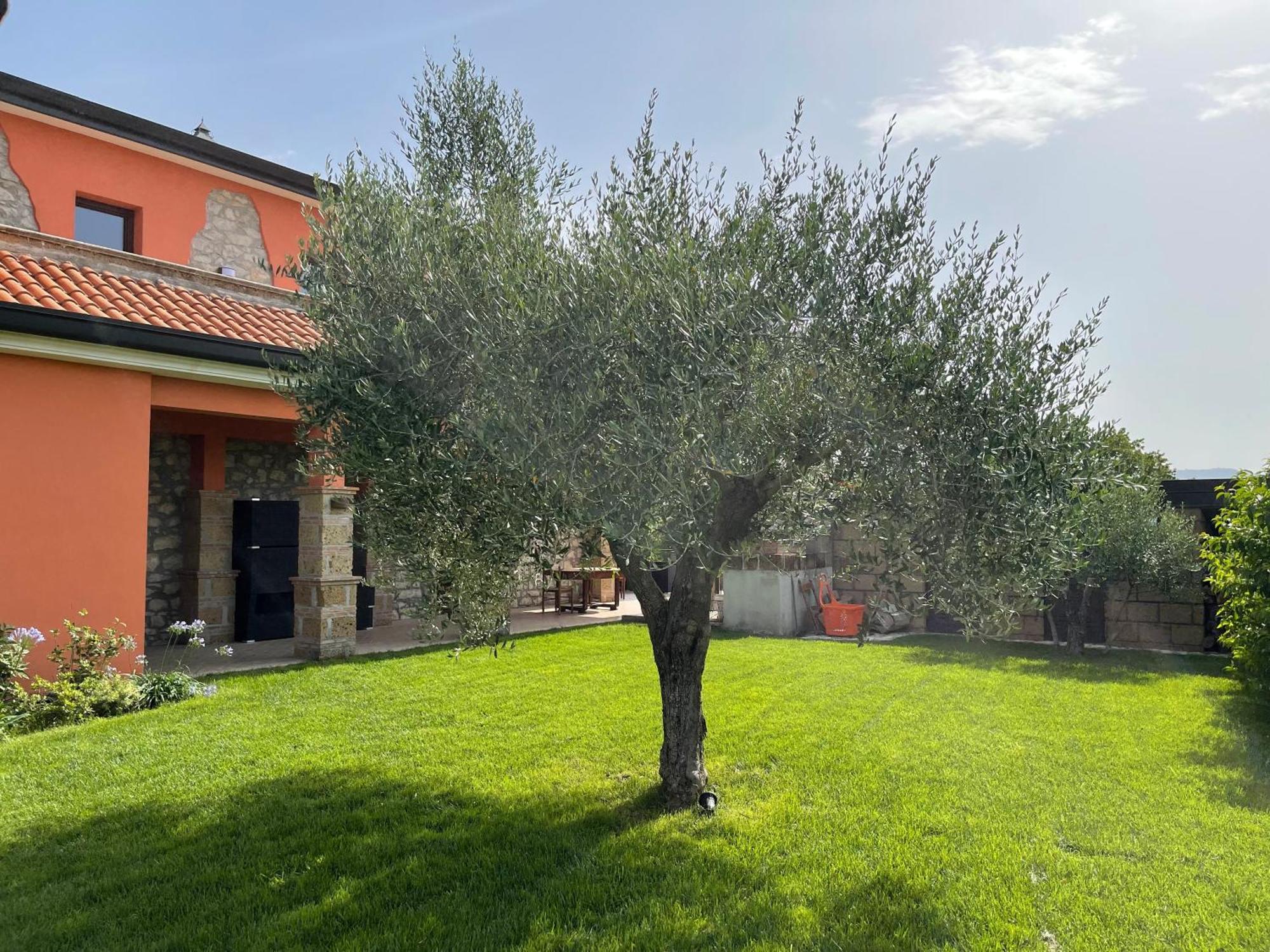 Azienda Agricola Ponterotto Mirabella Eclano Luaran gambar