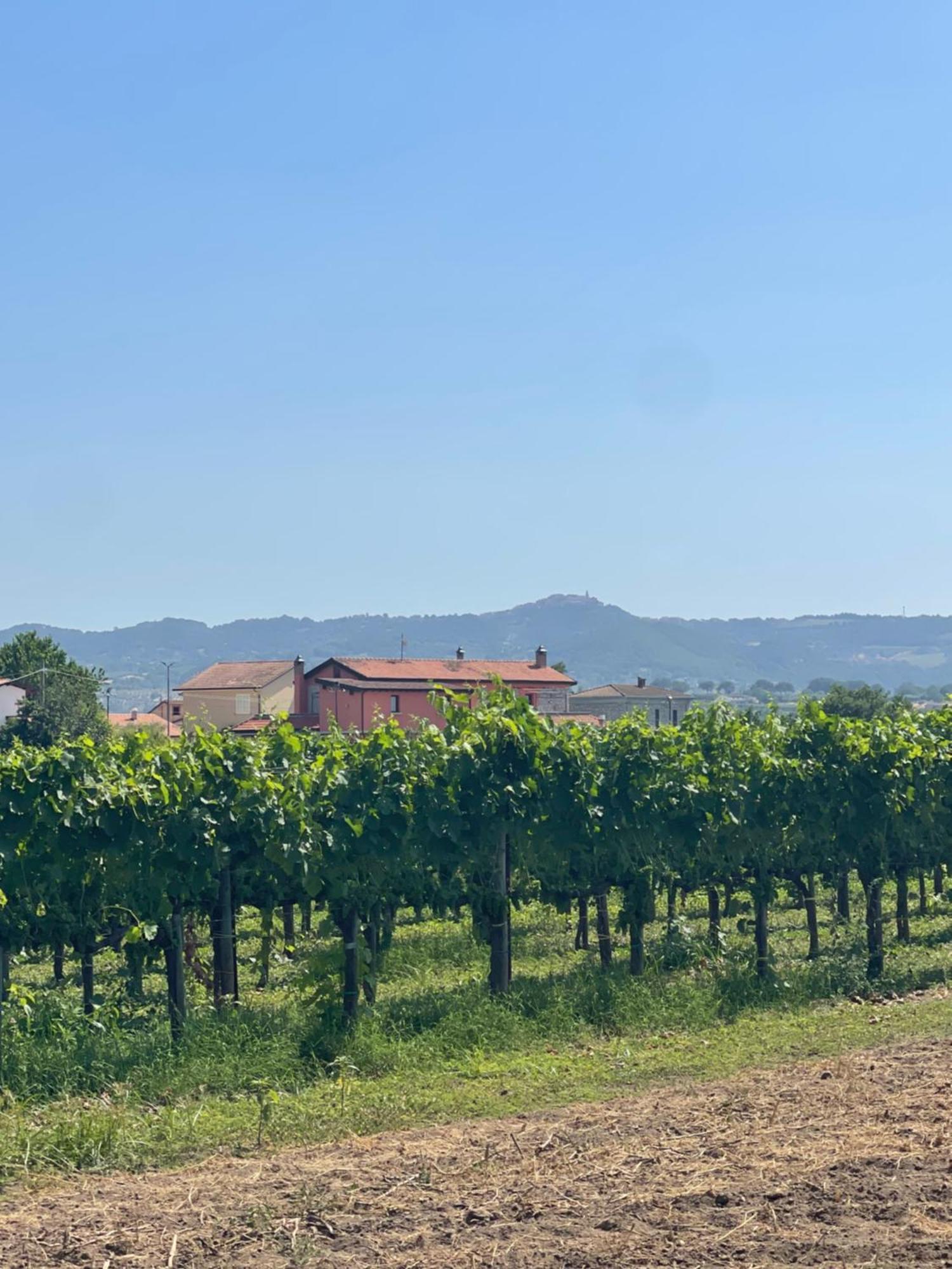 Azienda Agricola Ponterotto Mirabella Eclano Luaran gambar