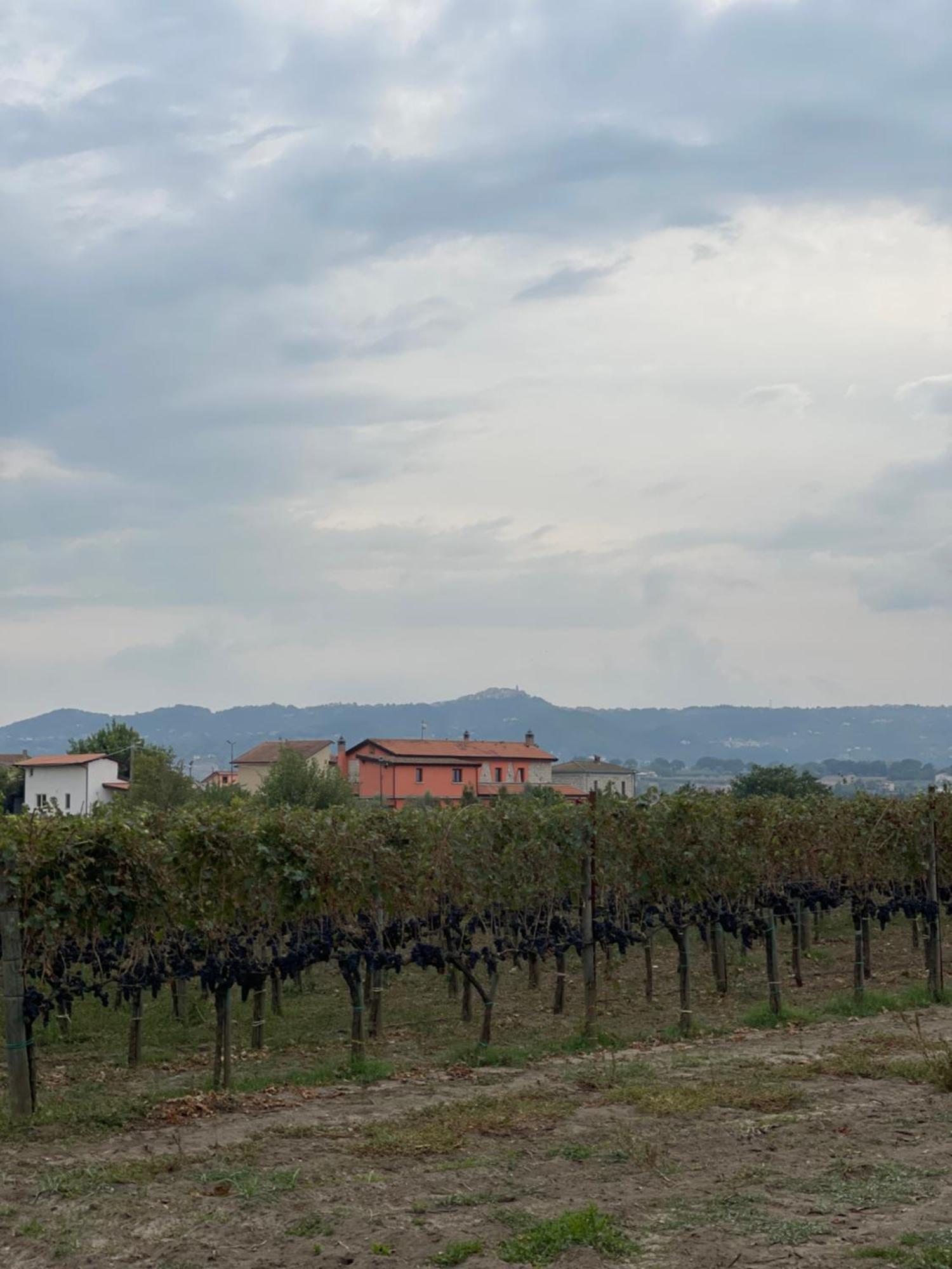 Azienda Agricola Ponterotto Mirabella Eclano Luaran gambar